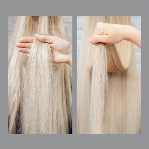 Proteintherapie für das Haar: Shampoo (1000g)